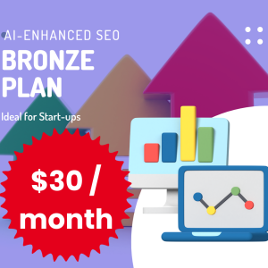 AI-Enhanced SEO Bronze