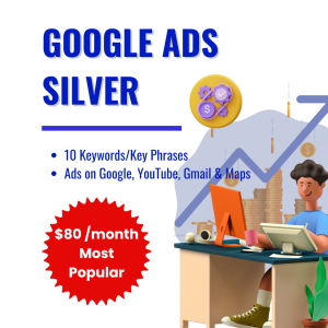 Google Ads Silver