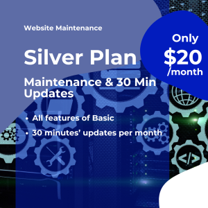 Maintenance Silver