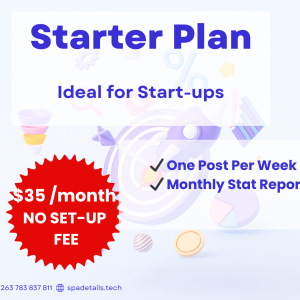 Social Media Starter